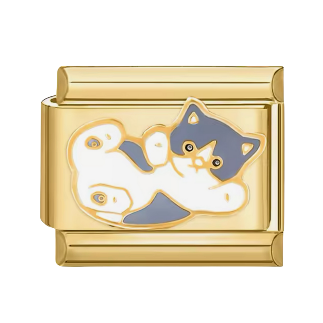 Charm Gatito