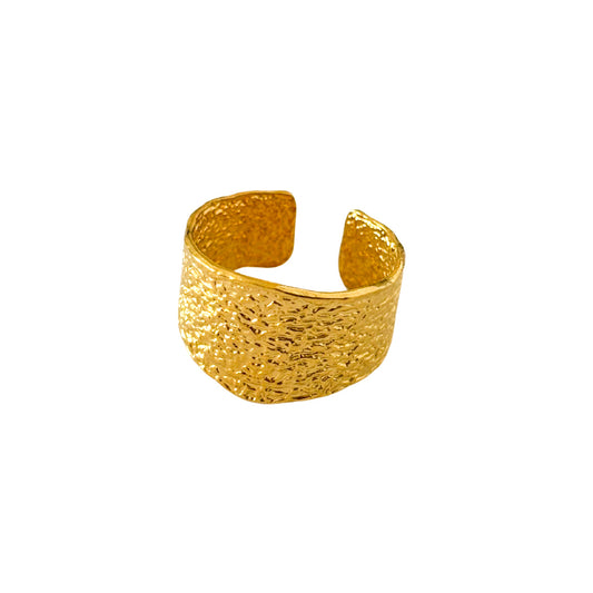 Anillo Rugoso