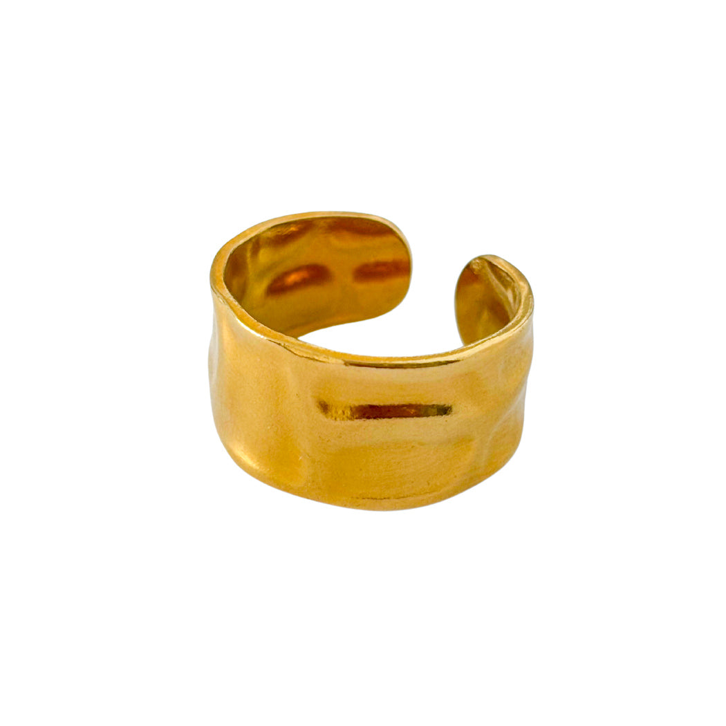 Anillo Oasis
