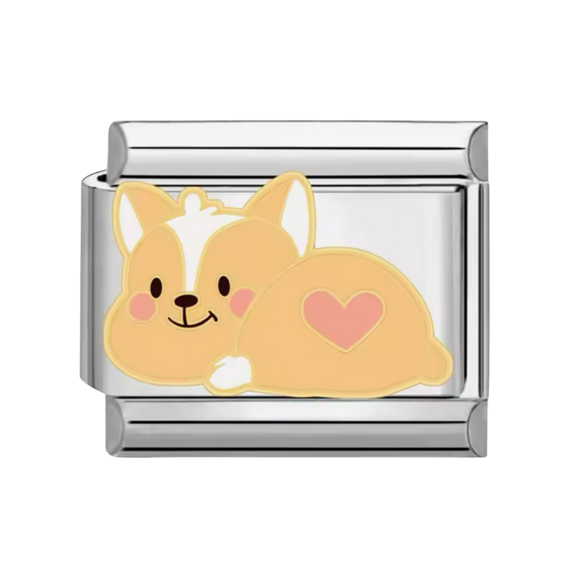 Charm Dog