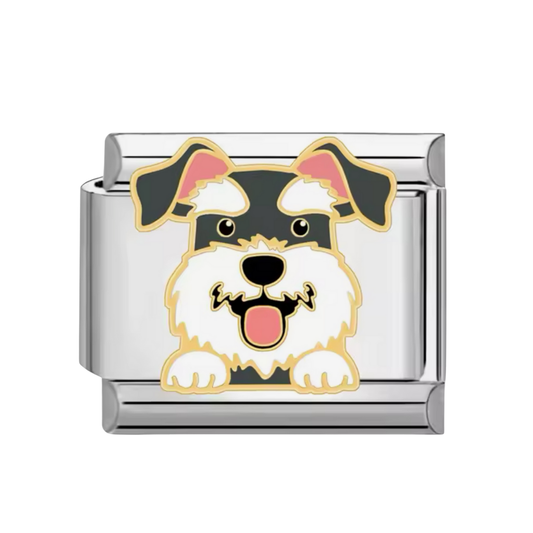 Charm Schnauzer
